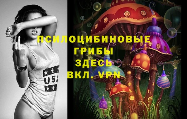 МДПВ Алексин