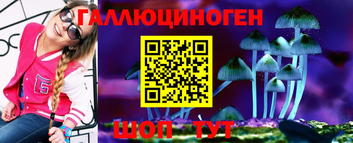 Псилоцибиновые грибы Psilocybine cubensis  Вход с VPN  Волхов 