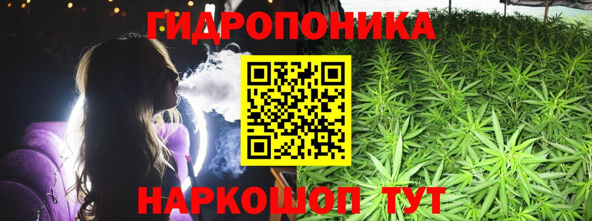 Каннабис Bruce Banner  МАРИХУАНА OG Kush  Вход с VPN  Волхов 